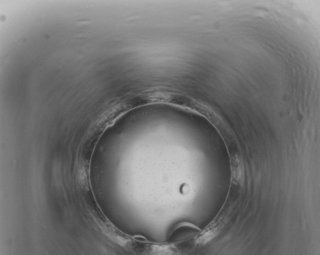 X0000073710573200608101842