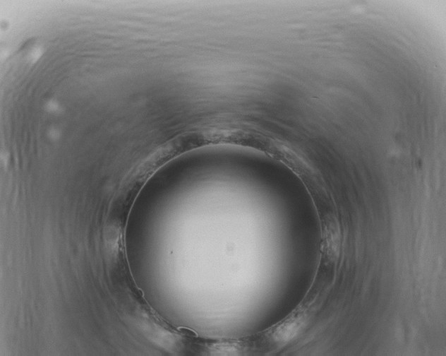 X0000073710574200608101842