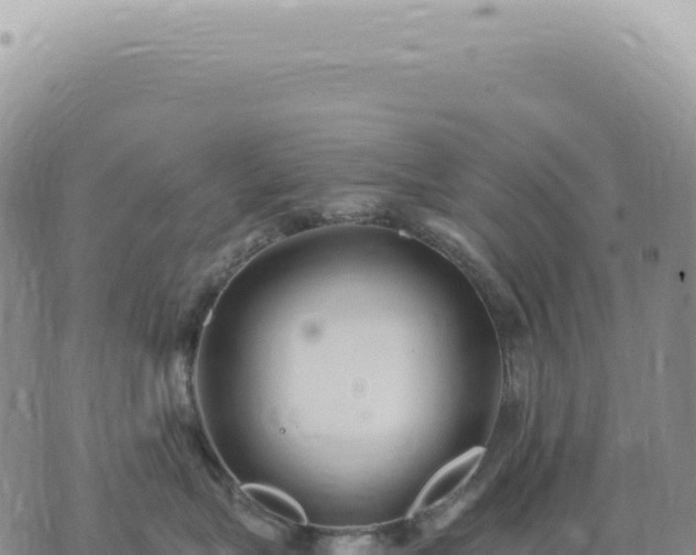 X0000073710575200608101842