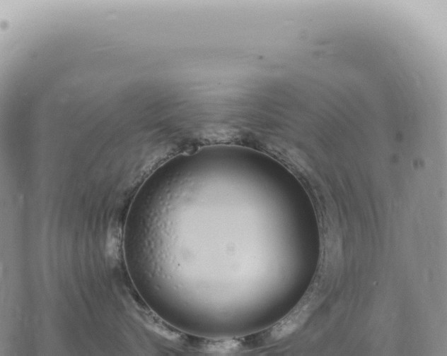 X0000073710576200608101842