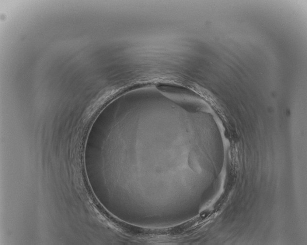 X0000073710577200608101841