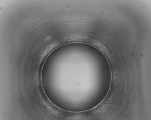 X0000073710578200608101841