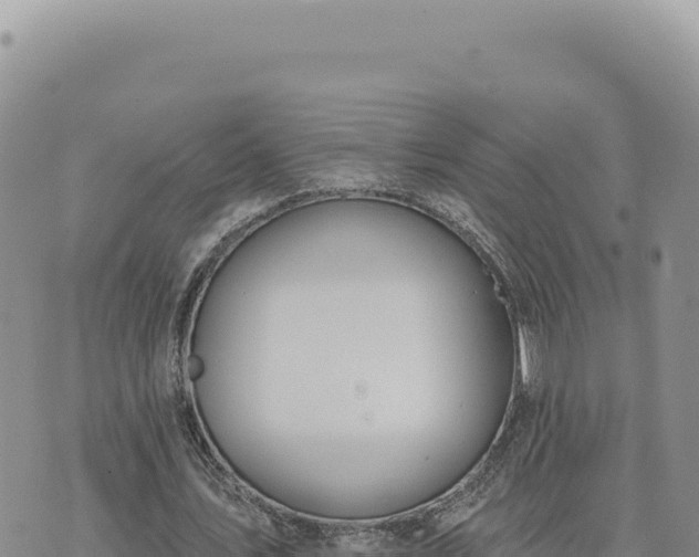 X0000073710579200608101841