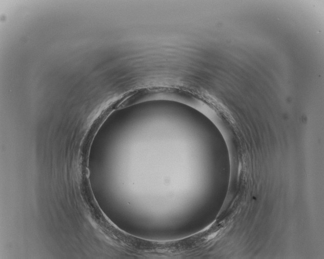 X0000073710580200608101841