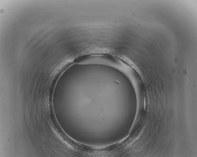 X0000073710581200608101841