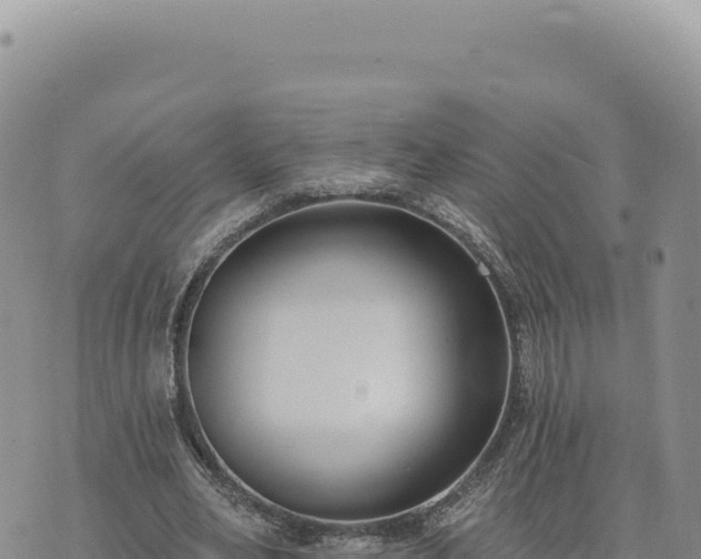 X0000073710582200608101841