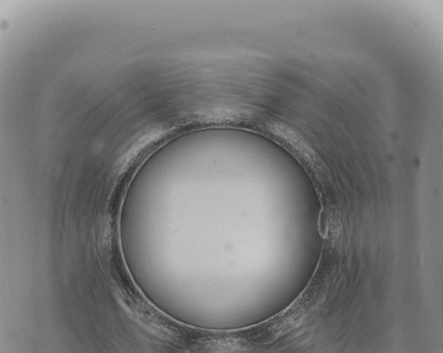 X0000073710583200608101841