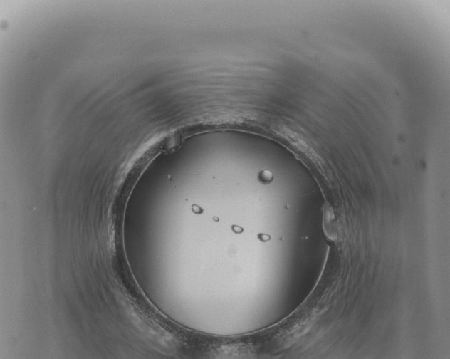 X0000073710584200608101841