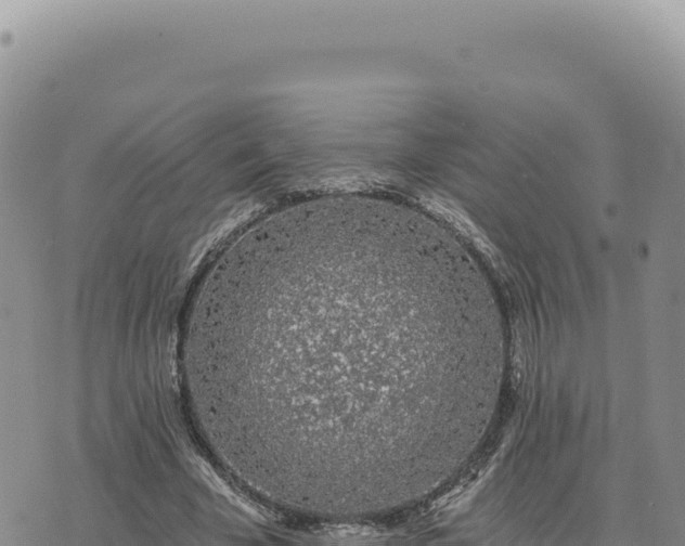 X0000073710585200608101841