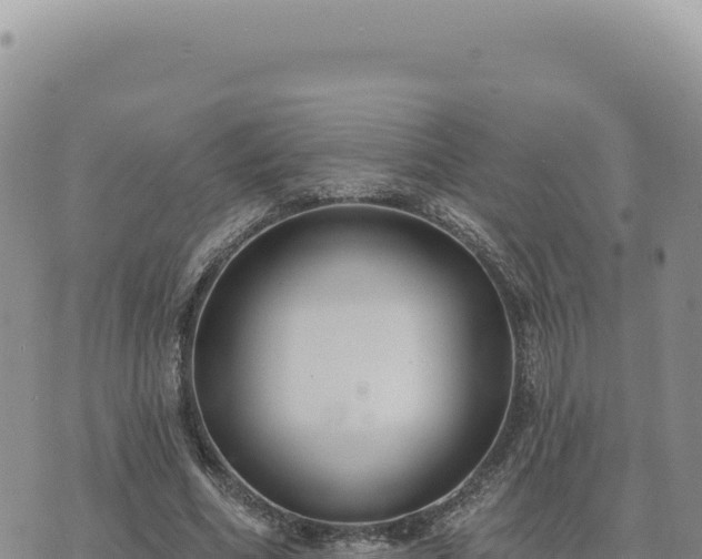 X0000073710586200608101841