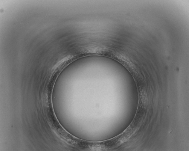 X0000073710587200608101841