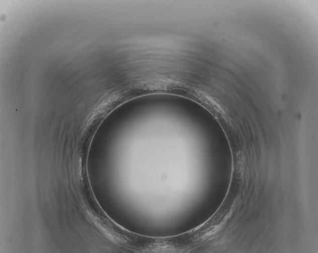 X0000073710589200608101841