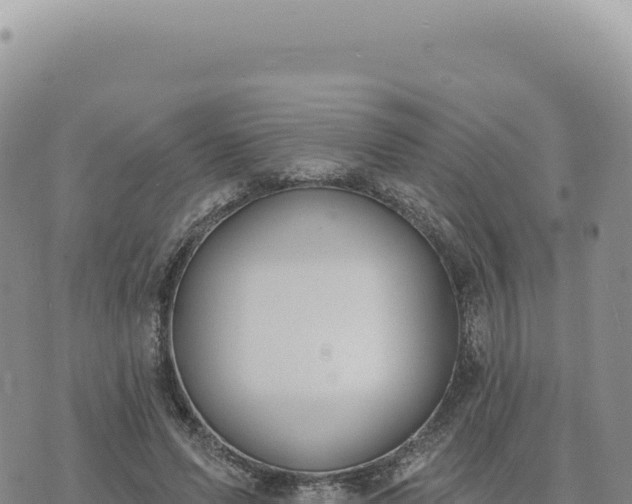 X0000073710591200608101841