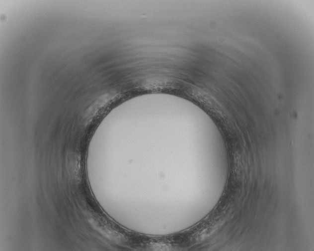 X0000073710592200608101841