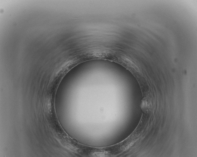 X0000073710595200608101841