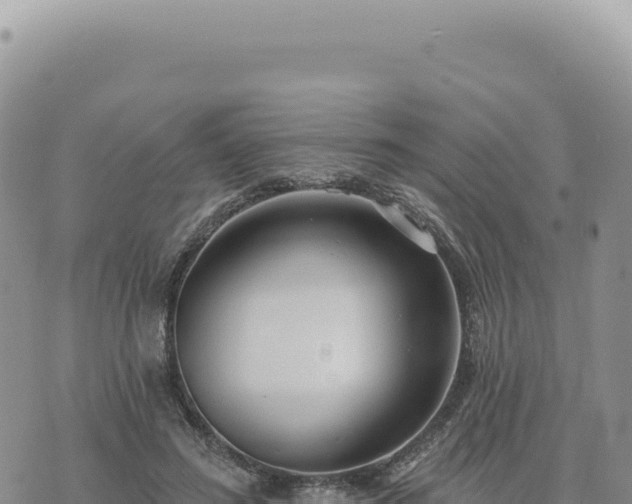 X0000073710596200608101841