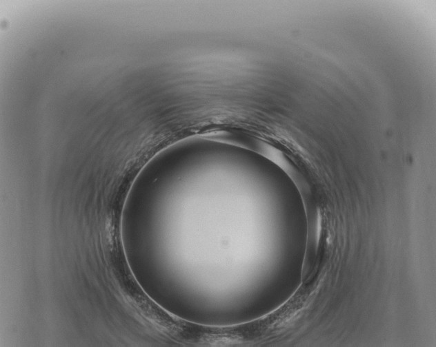 X0000073710597200608101841