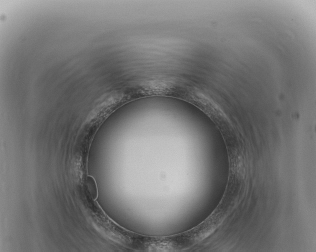 X0000073710599200608101841