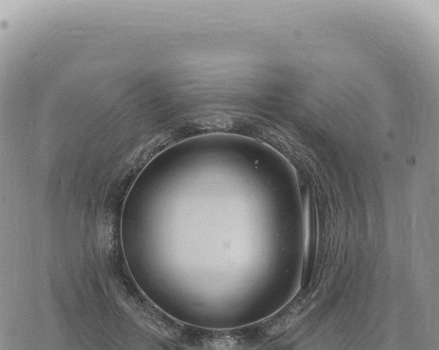 X0000073710600200608101841