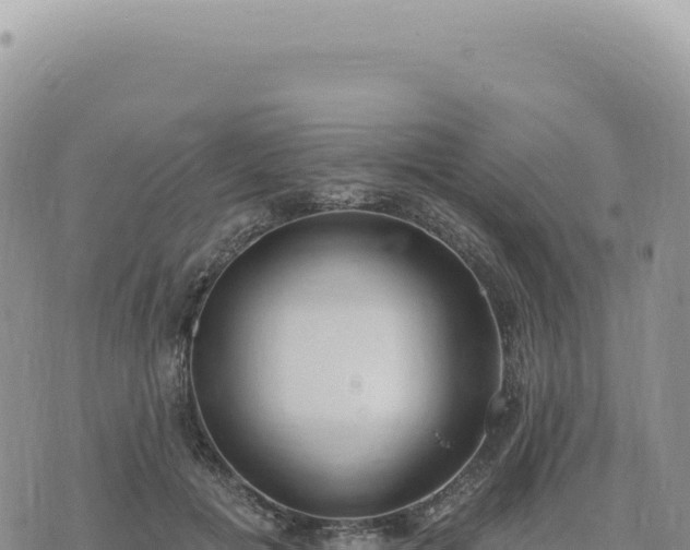 X0000073710601200608101841