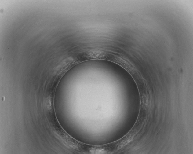 X0000073710602200608101841