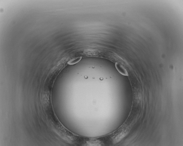 X0000073710603200608101841