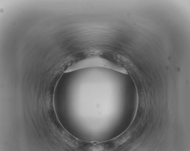 X0000073710604200608101841