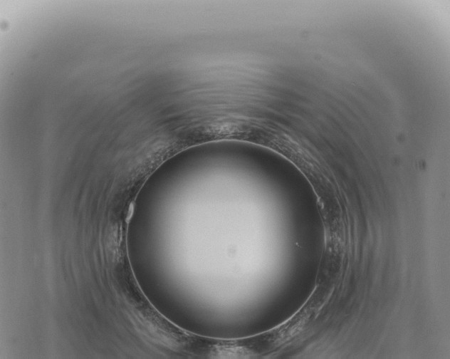 X0000073710605200608101841