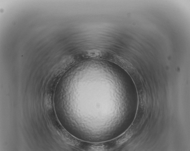 X0000073710606200608101841