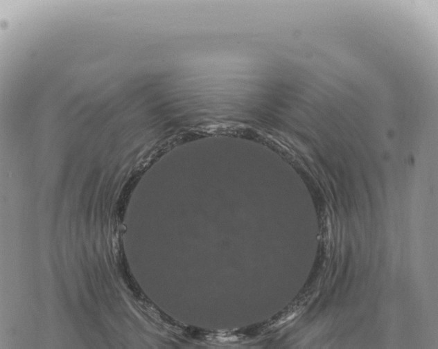 X0000073710607200608101841