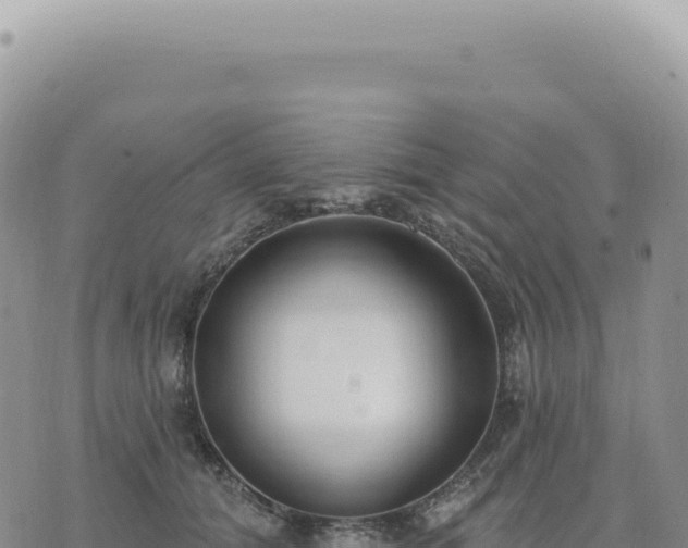 X0000073710608200608101841