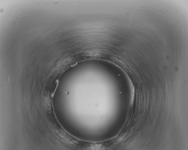 X0000073710609200608101841