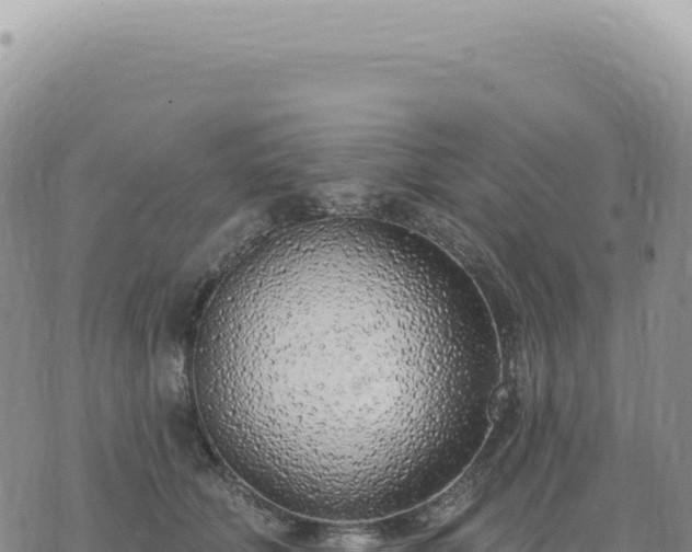 X0000073710610200608101841