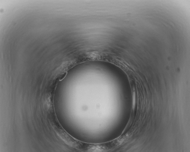 X0000073710611200608101840