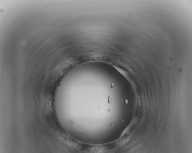 X0000073710615200608101840