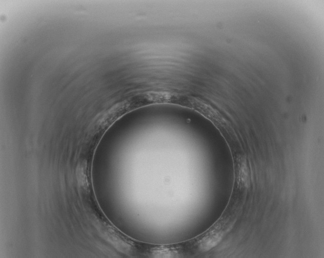 X0000073710616200608101840