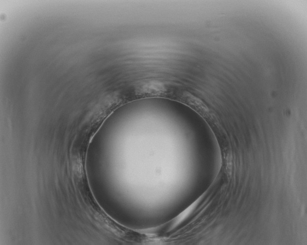 X0000073710617200608101840