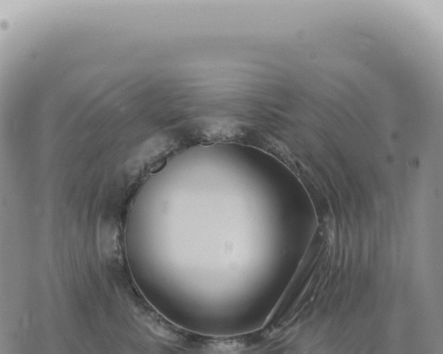 X0000073710619200608101840