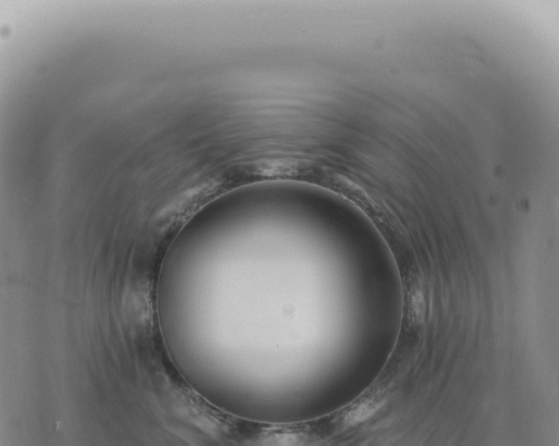 X0000073710620200608101840