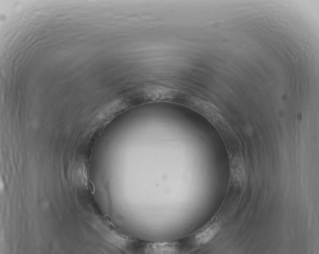 X0000073710622200608101840