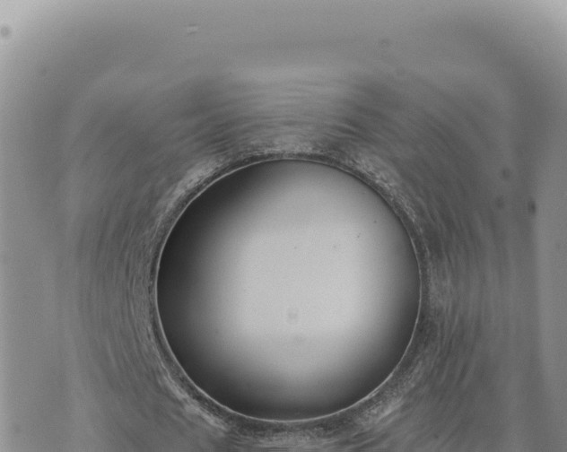 X0000073710625200608101839