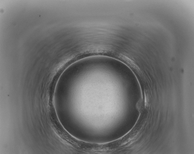 X0000073710627200608101840