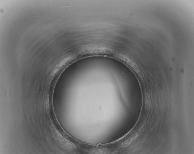 X0000073710629200608101840