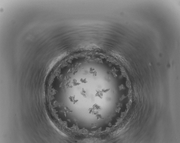 X0000073710630200608101840