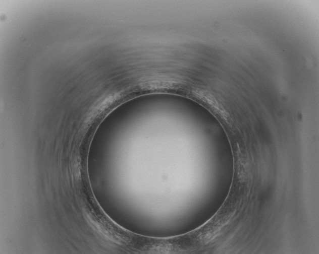 X0000073710631200608101840