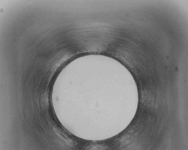 X0000073710632200608101840