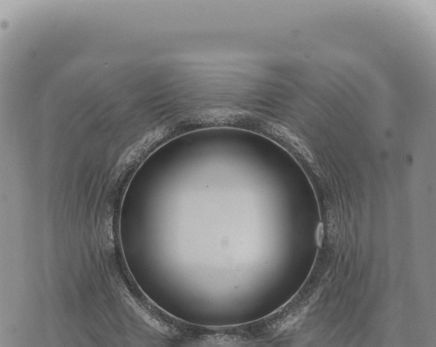 X0000073710633200608101840