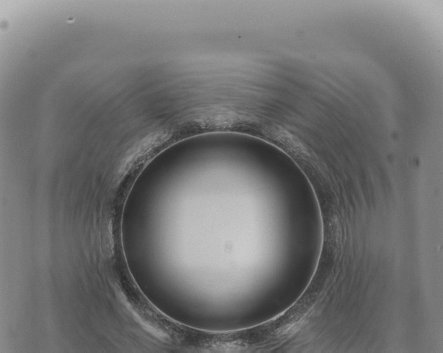 X0000073710638200608101840