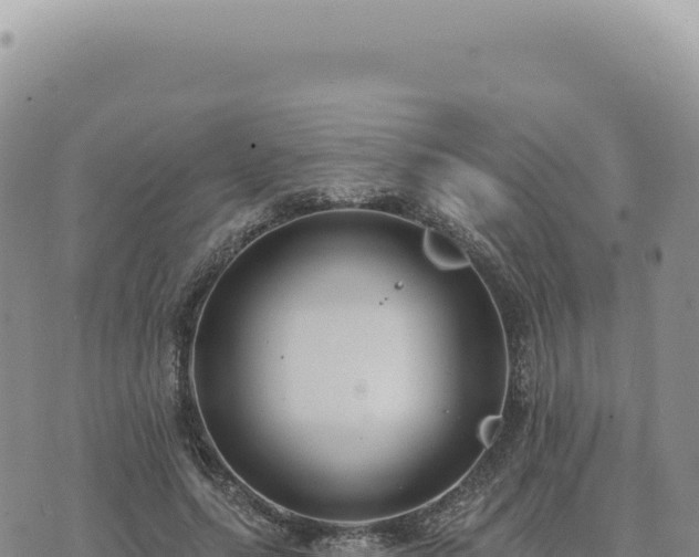 X0000073710639200608101840