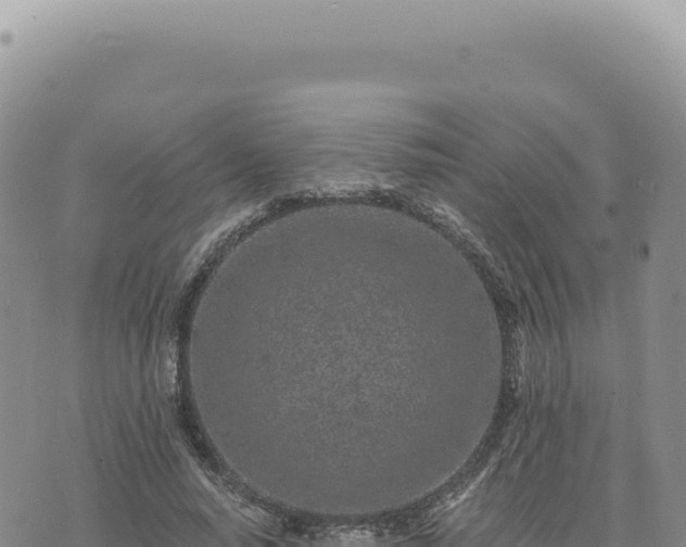 X0000073710640200608101840